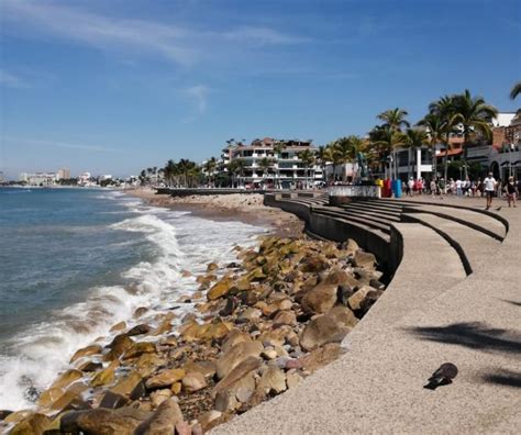 Anuncian Reapertura De Playas Y Hoteles Al 25 En Puerto Vallarta Y
