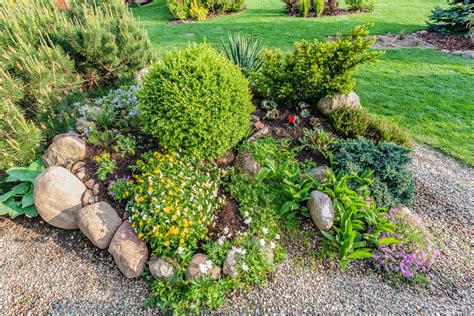Best Plants For Rock Gardens Southeast Agnet