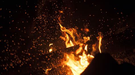 Wallpaper Fire Campfire Flame Darkness 2560x1440 Px Geological