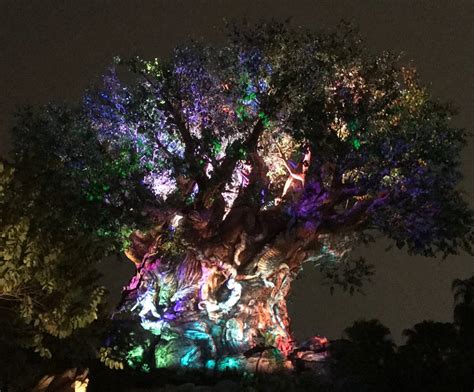 Winter Tree Of Life Awakenings Disney Over 50