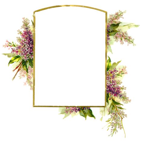 Cadre De Fleurs Png Images Transparent Téléchargement Gratuit Pngmart