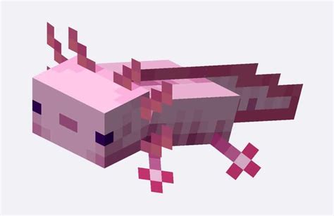 What Do Axolotls Eat In Minecraft Mobile Forum