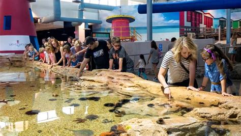 Touch Pools At Odysea Aquarium In Scottsdale Az