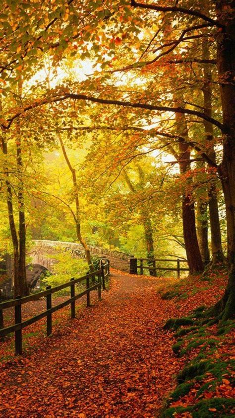 Pin By Nan Haskins Kennedy On Autumn Autumn Scenery Fall Background