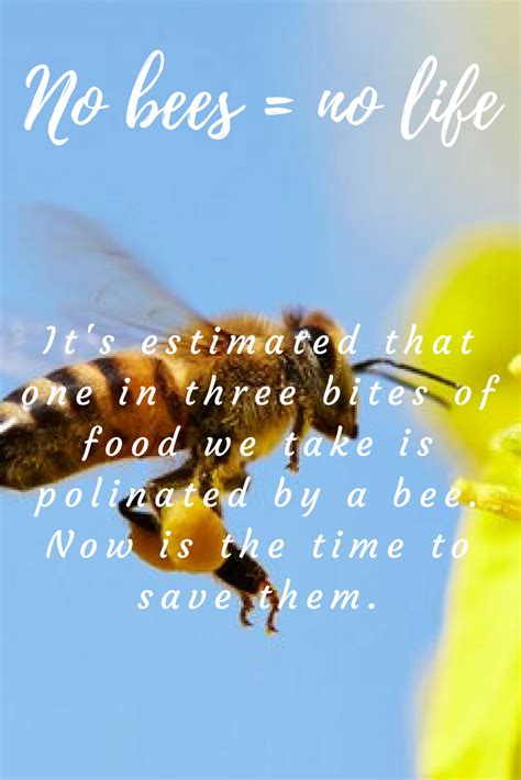 Bees Are One Of The Most Important Creatures In The World Lets Act