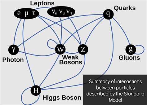 Electroweak Interaction Lepton Higgs Boson Standard Model