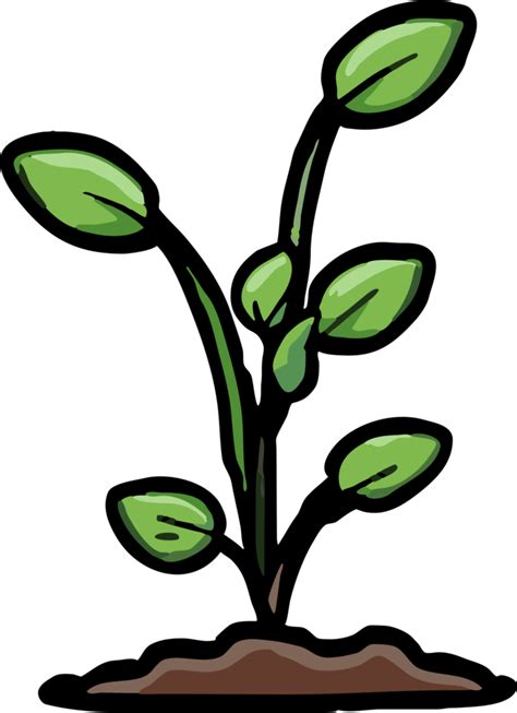 Plant Growing Png Graphic Clipart Design 23743675 Png