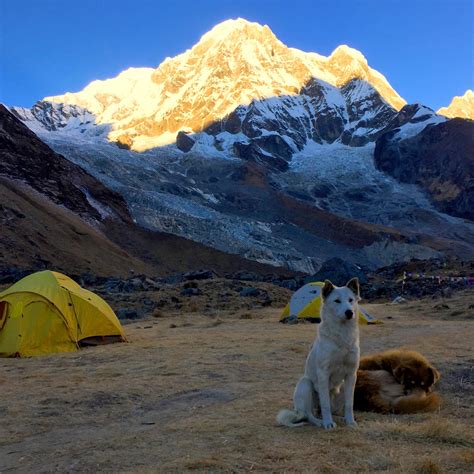 Annapurna Base Camp Trekking 15 Dana Nepal Green Planet Travel