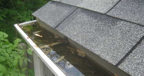When heavier rain comes, it will cause your gutters to overflow. How Often Should I Clean My Gutters | Lee Company