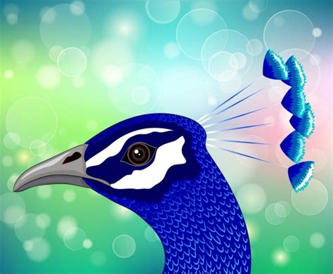 peacock free vector download 124 free vector for commercial use format ai eps cdr svg