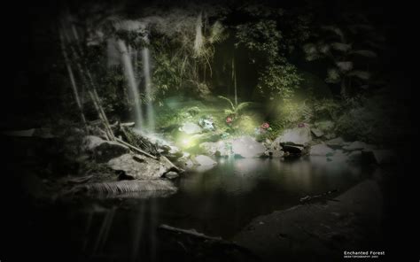 Enchanted Forest Background 60 Images