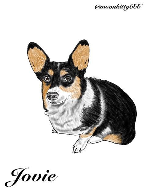 Digitally Draw Pet Portraits By Moonkitty666 Fiverr