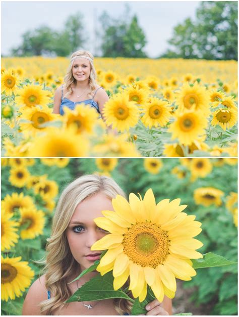 sunflowers forever a gorgeous senior session in northern michigan sunflower field photography