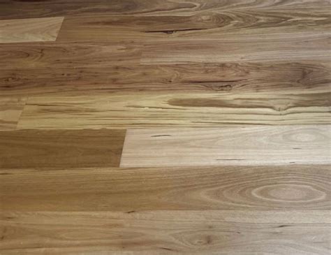 Spotted Gum By Klk Hardwood Flooring Sdn Bhd