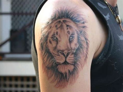 Nice Lion Head Tattoo On Shoulder Blade Tattooimagesbiz