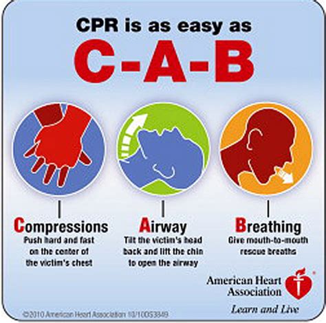 Redwoods Medical Edge C A B The New Cpr Guidelines