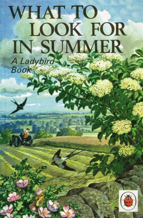 Design Context Ladybird Book Covers