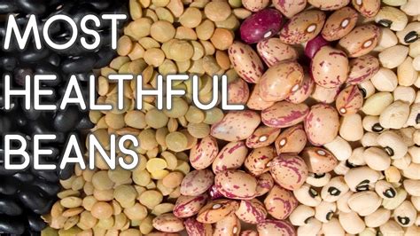 top 6 healthiest beans youtube