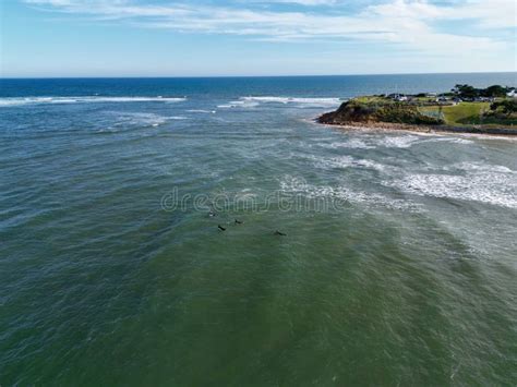 Aerial View Of The Torquay Beach On A Sunny Day Stock Photo Image Of