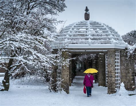 Things to do near botanischer garten. Winter in dem Botanischen Garten in München, Bayern | Flickr