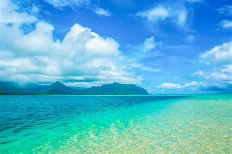 今行きたい！ハワイの絶景スポット8選。「自然・名所」のコラム｜allhawaiiオールハワイ