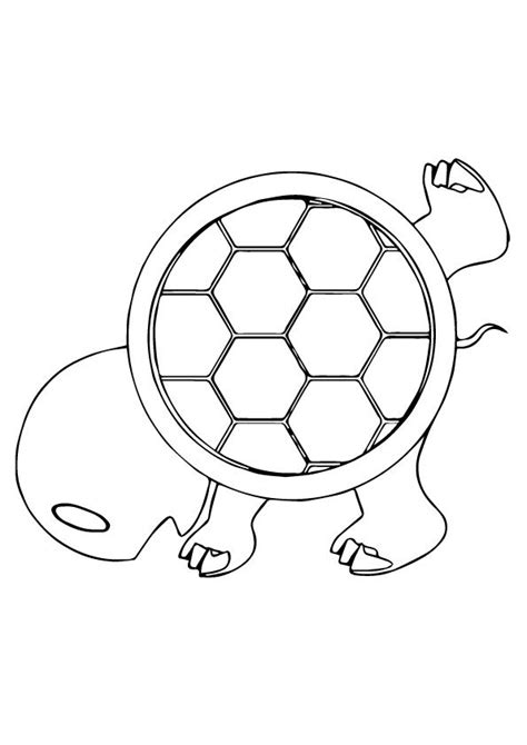 Turtle Shell Pattern Coloring Page Sketch Coloring Page