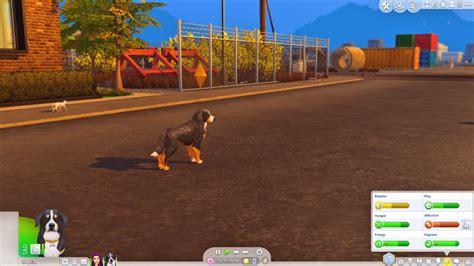 25 Essential Sims 4 Pet Mods For More Fun And Realistic Pets