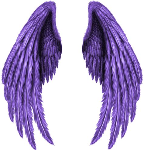Purple Wings Png By Yotoots On Deviantart