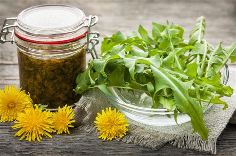 Benefits Of Bitter Herbs For Good Digestion Home Herbalism Courses