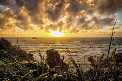 Sunset At Gannet Colony Otakamiro Point Muriwai Beach Auckland