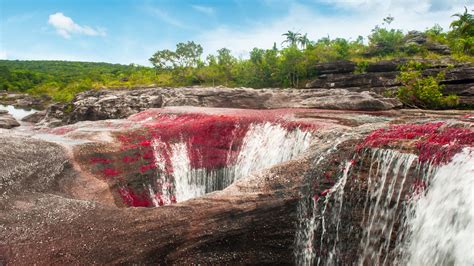 Caño cristales is also known as 'el río de los 5 colores.' (the river of five colours) or the 'liquid rainbow'. Caño Cristales HD Wallpaper | Background Image | 1920x1080 ...