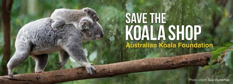 Save The Koala Shop Australian Koala Foundation