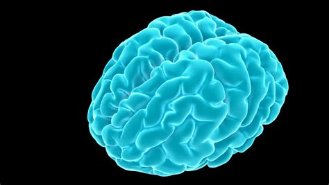 Download over 809 brain animation royalty free stock footage clips, motion backgrounds, and after effects templates with a footage starting at $15. Blue 3d Brain Turning Animation Stock Footage Video 381034 - Shutterstock