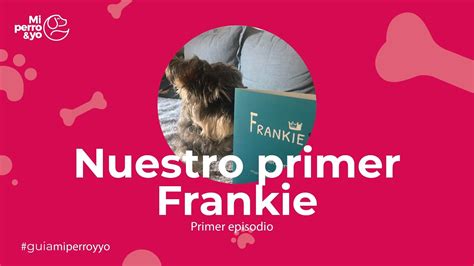 Frankie The King Comida Natural Para Perros Cocinada Youtube