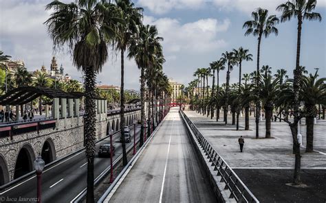 Barcelona is the city of the football club fc. Le palme di Barcellona | JuzaPhoto