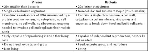 Bacteria And Virus Whats The Difference Antibiotic Resistant