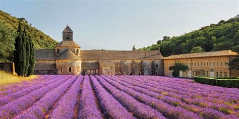 The Best Provence Literary Activities 2022 Free Cancellation