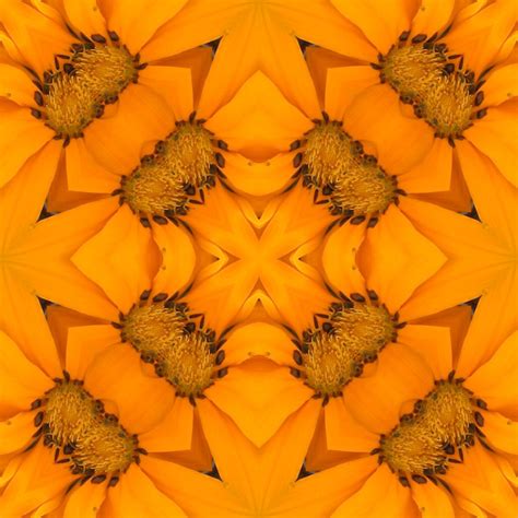 Fall Paper # 9 Free Stock Photo - Public Domain Pictures