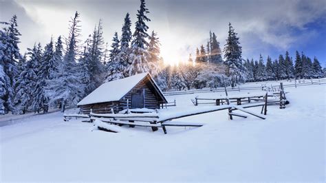 Обои зимний лес 5k 4k 8k гора солнце снег елки деревня Winter