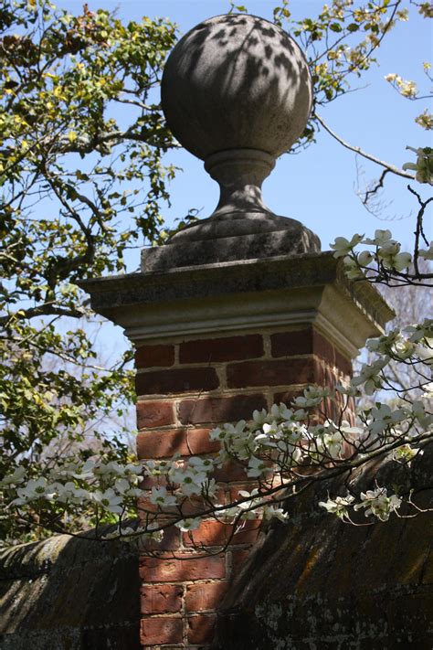 Find the best williamsburg attractions and activities in williamsburg, va. Beautiful dogwood at the Governor's Palace in Colonial ...