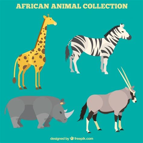Piękne Zwierzęta Afrykańskie Ustawione W Płaskiej Konstrukcji Darmowy