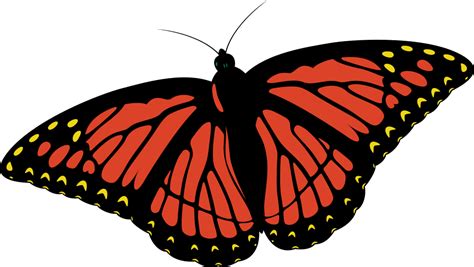 Onlinelabels Clip Art Monarch Butterfly