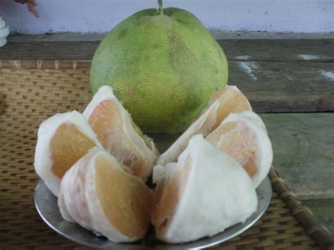 Pomelo tastes similar to grapefruit, but it's sweeter. Significance of pomelo for Chinese people - Asian Itinerary