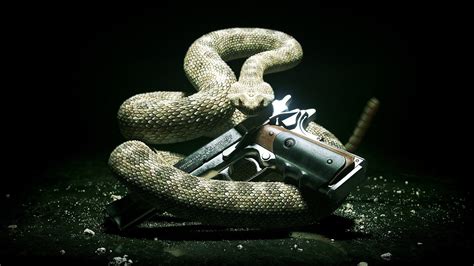 Wallpaper Animals Gun Snake Hitman 1911 Serpent Reptile Macro