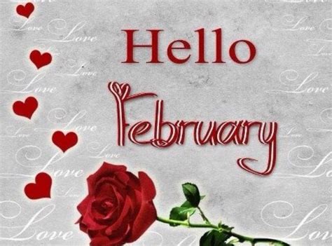 Hello February Hello February Quotes February Quotes February Holidays