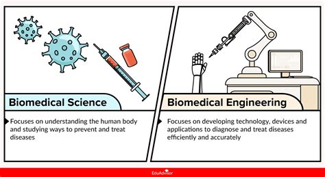 Biomedical Science Vs Biomedical Engineering Whats The Difference