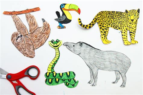 Rainforest Diorama Printables Rainforest Animals