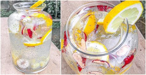 #sodaherbs #sodadrinks #airsoda air soda herbs bahan bahan 1 cwn aiskrim soda1 cwn air laici 1 cwn buah laici 2 tangkai daun pudina1 biji lemon1 sb chia. Air 'Lemon Soda Mixed Fruit Herbs' Yang Sangat Menyegarkan ...