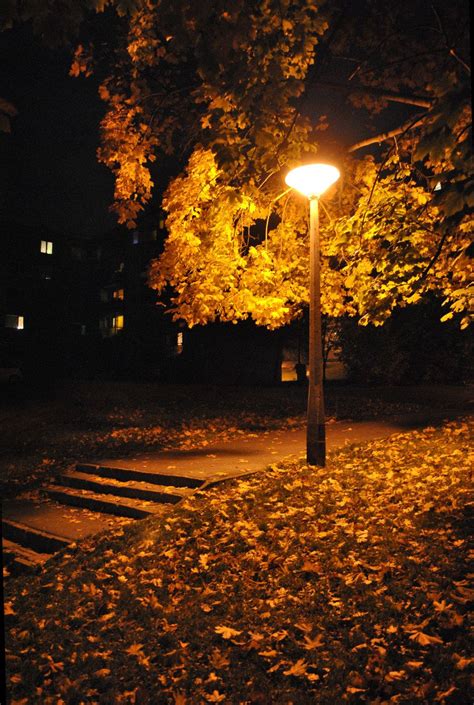 On Deviantart Autumn Night