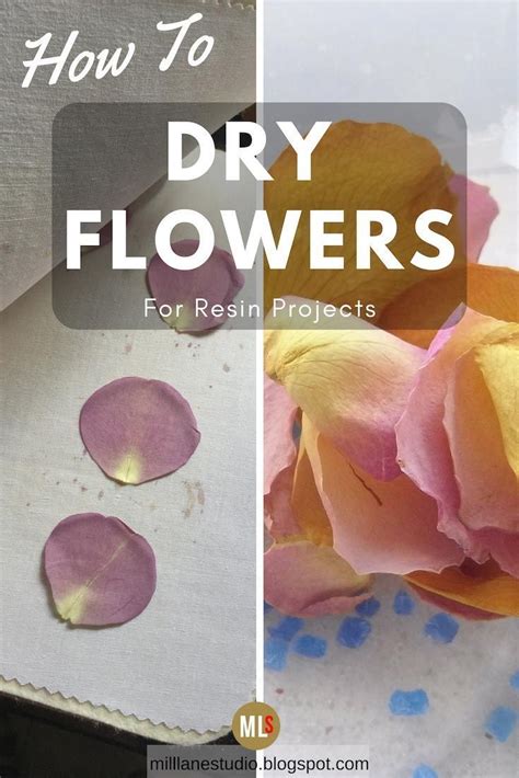 Find out the various ways to preserve flowers including drying flowers with these tips on how to preserve flowers. Drying and Preserving Flowers for Resin | How to preserve ...